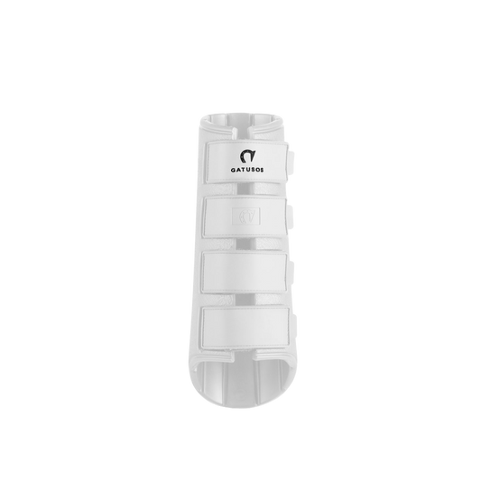 Gatusos Royal - Dressage Hind