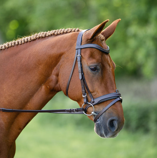 Kl Select Black Oak Dogwood Bridle with Rubber Reins