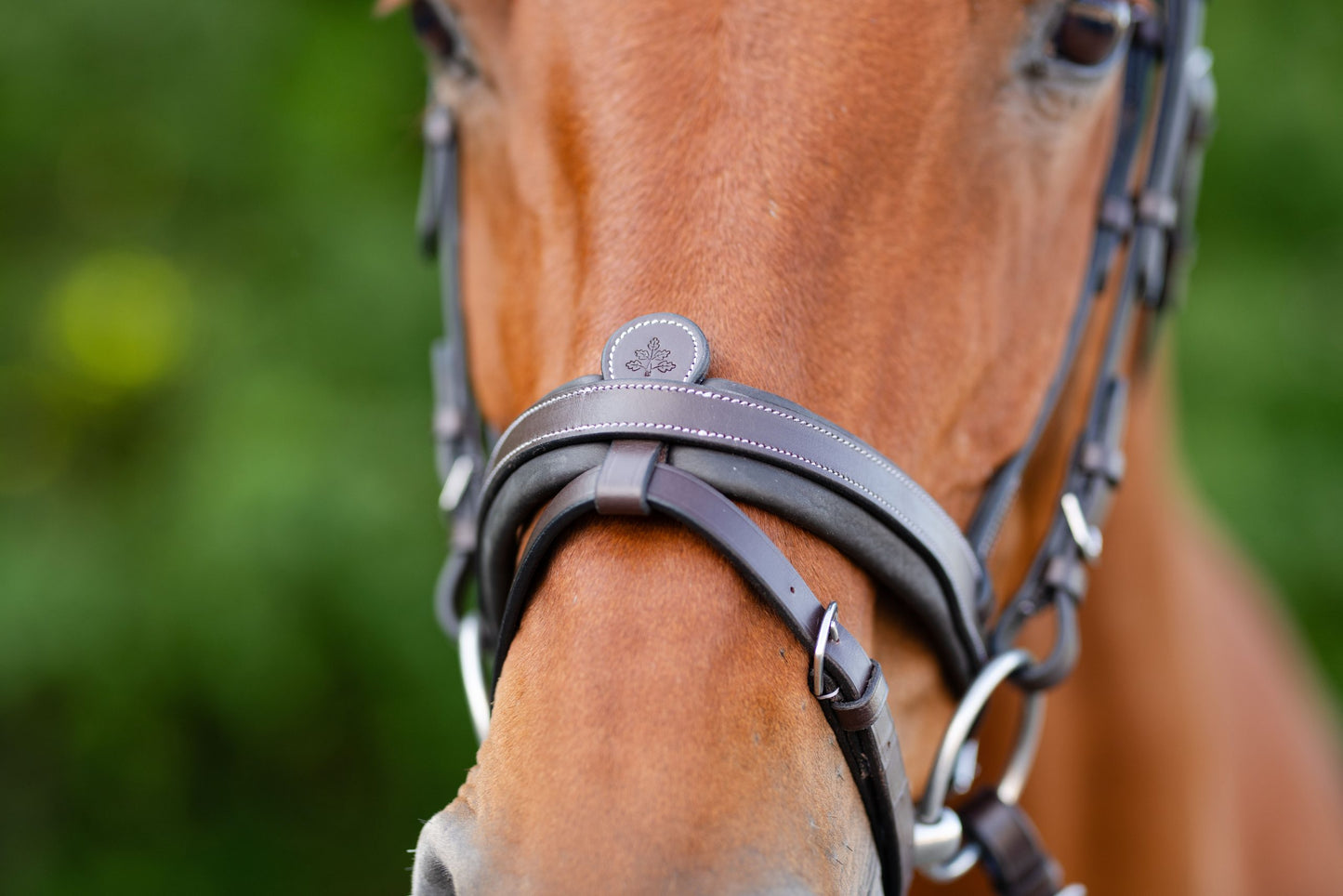 Kl Select Black Oak Dogwood Bridle with Rubber Reins