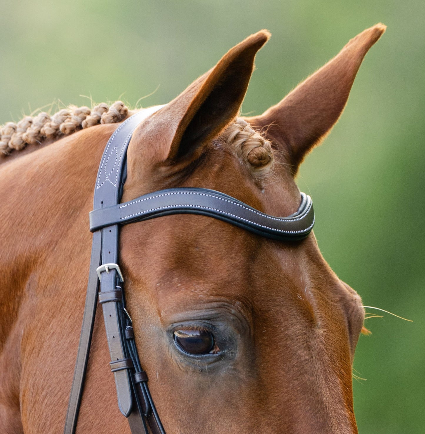 Kl Select Black Oak Dogwood Bridle with Rubber Reins