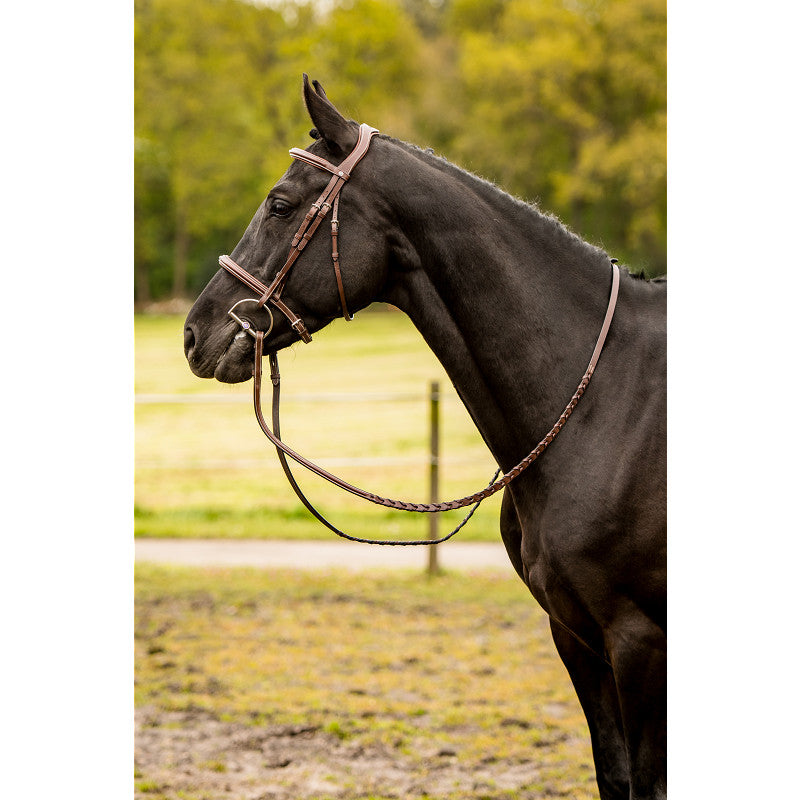 Trust Hunter Bridle Kentucky