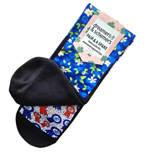 Dreamers & Schemers a Pair & Spare Socks - Blueberries