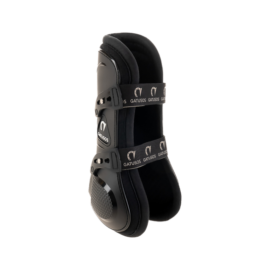 Gatusos Pegasus Front