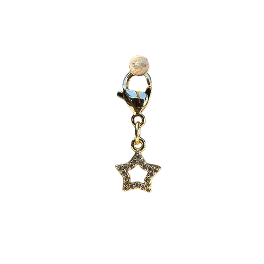 Dubois Cheval Braiding Charm - Sparkly Star