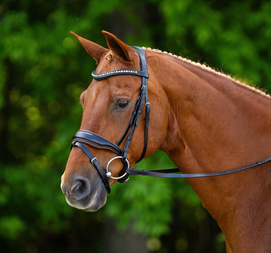 Kl Select Elite Dressage Bridle