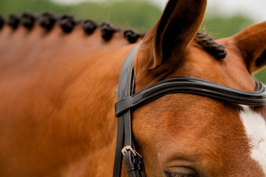 KL Select Elevation Dressage Bridle