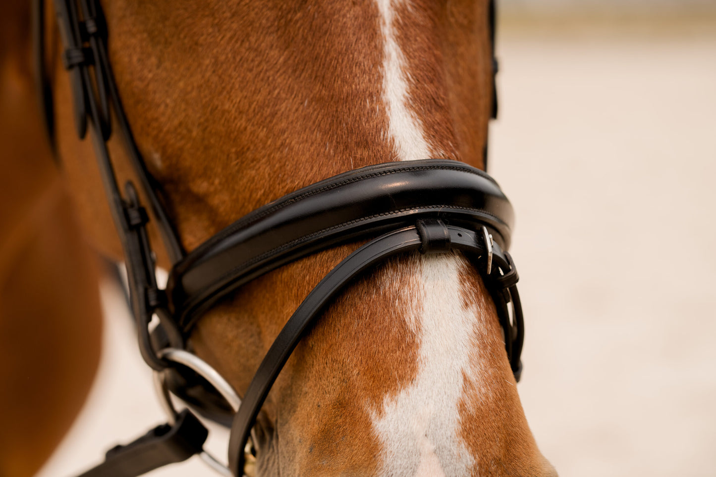 KL Select Elevation Dressage Bridle