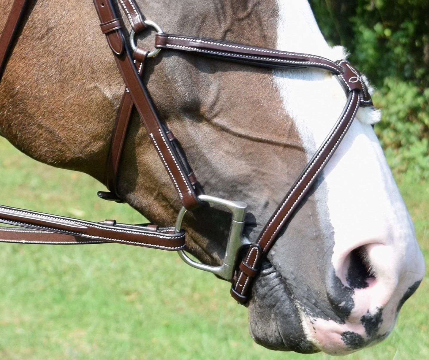 KL Select Red Barn Equinox Fig 8 Bridle & Reins