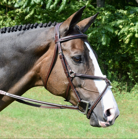 KL Select Red Barn Equinox Fig 8 Bridle & Reins
