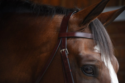 KL Select Foxwell Hunt Bridle with Reins