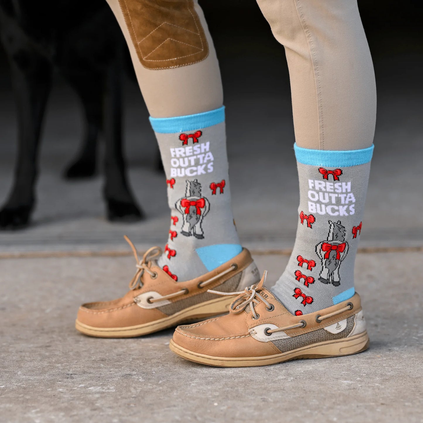 Dreamers & Schemers Fresh Outta Bucks - Crew Socks