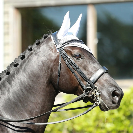 KM Elite Ear Net White With Black Trim