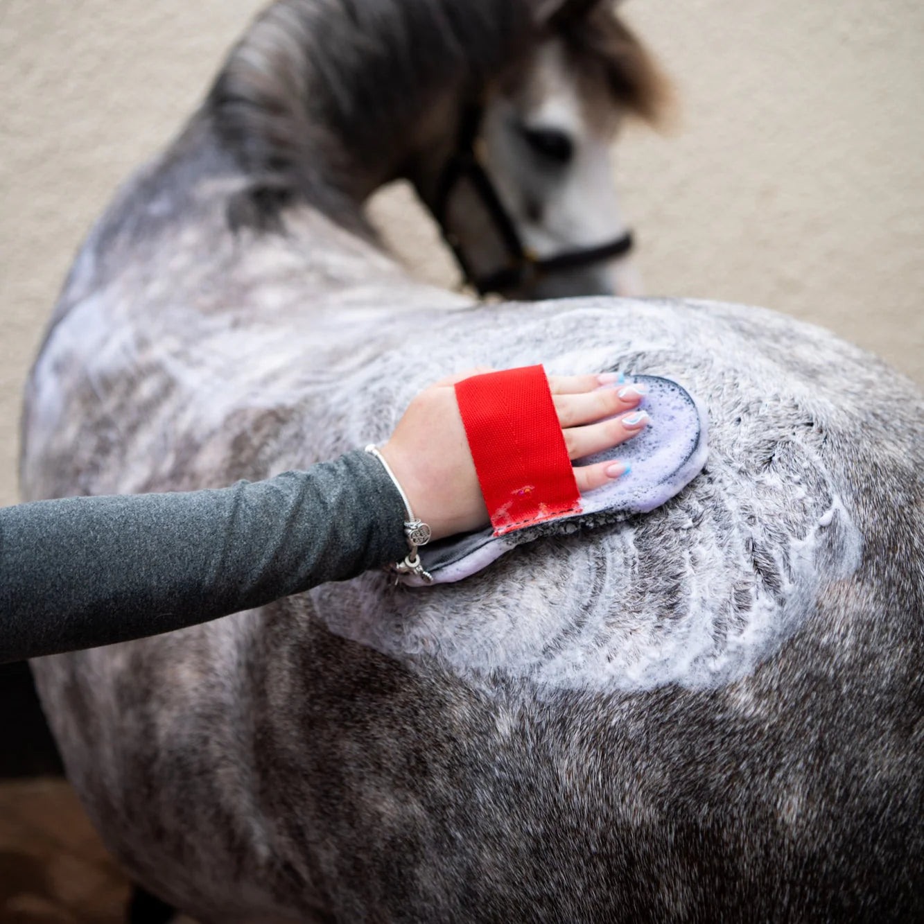 Smart Grooming Deluxe Super Groomer