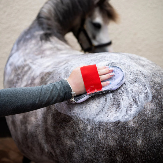 Smart Grooming Deluxe Super Groomer