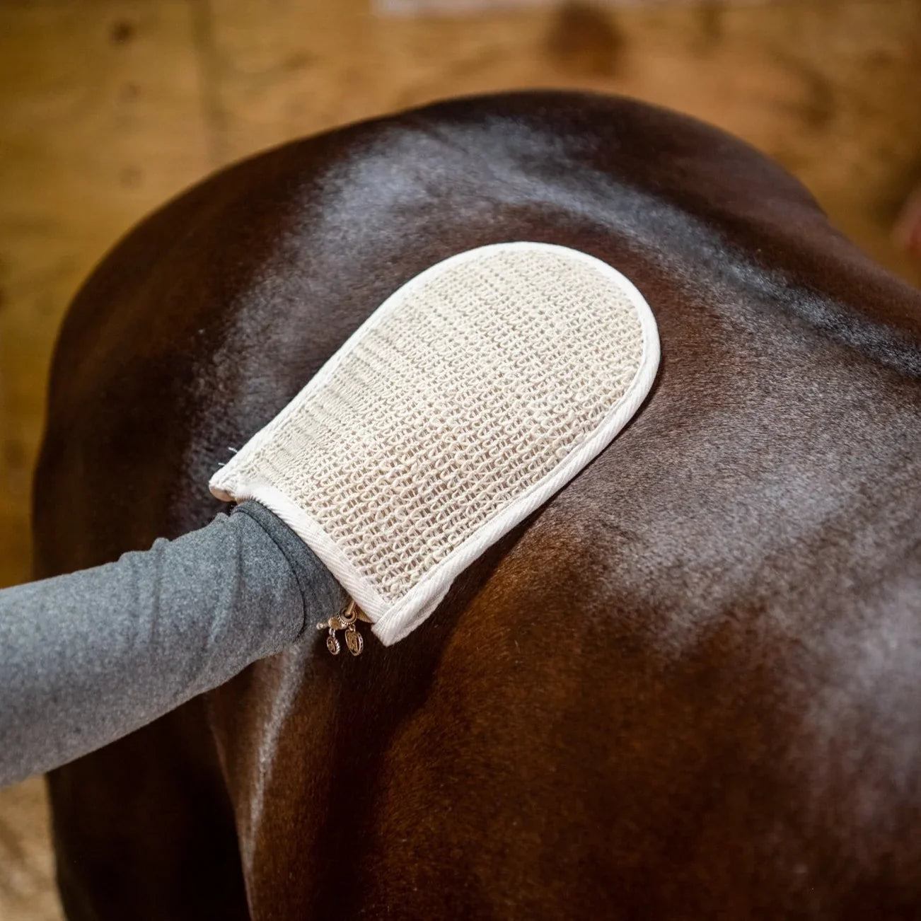 Smart Grooming Cactus Mitt