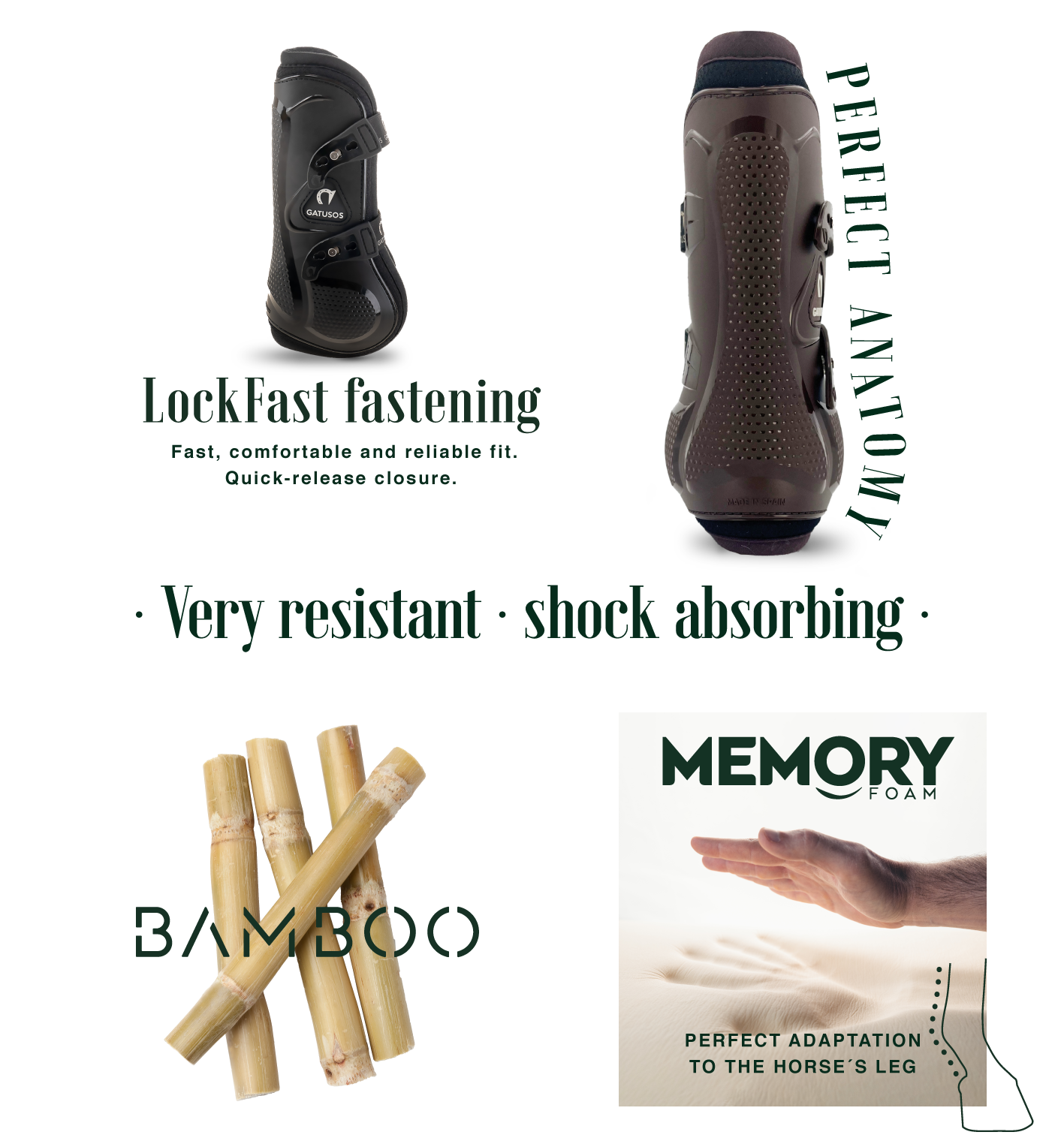 Gatusos Pegasus Front