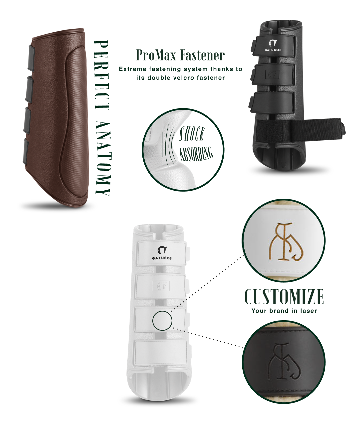 Gatusos Royal - Dressage Hind