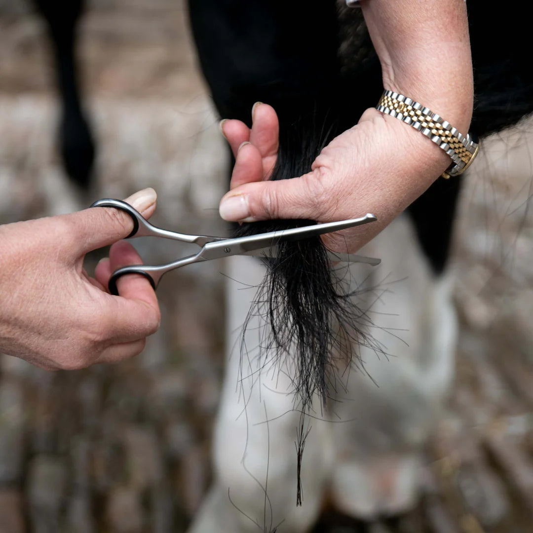 Smart Grooming Safety Scissor