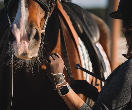 16 Cypress Riding Gloves - Black Mesh