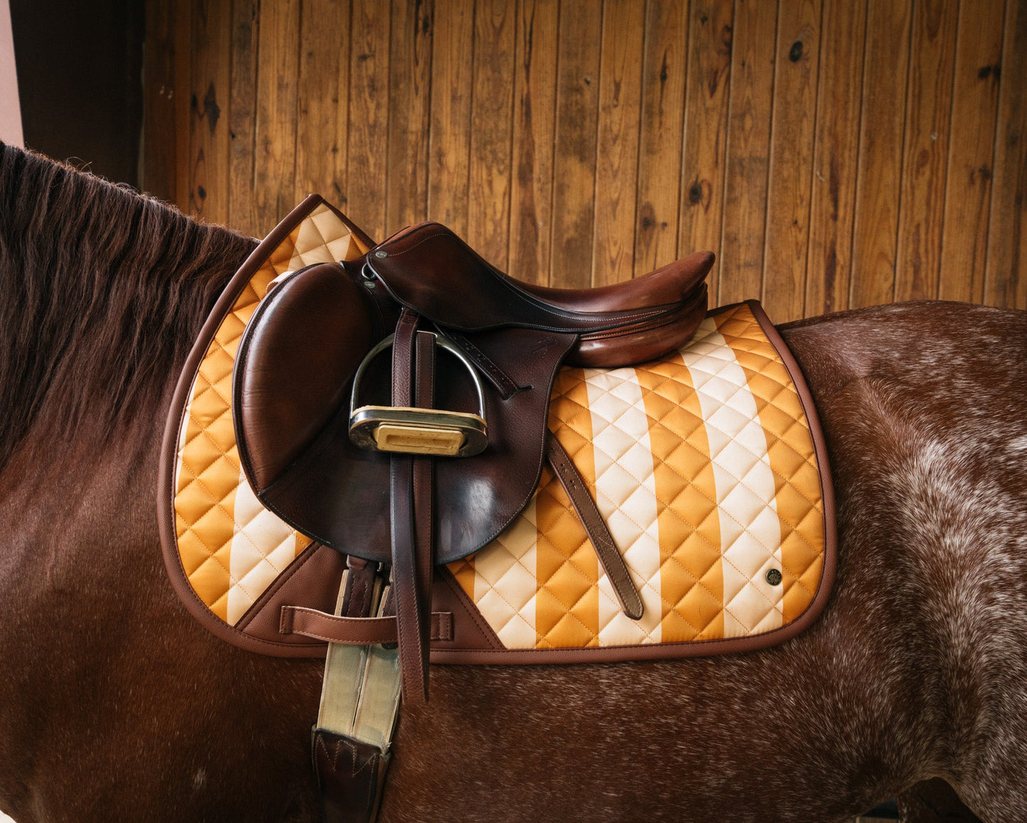 16 Cypress Jumper Pad - Capri Stripe
