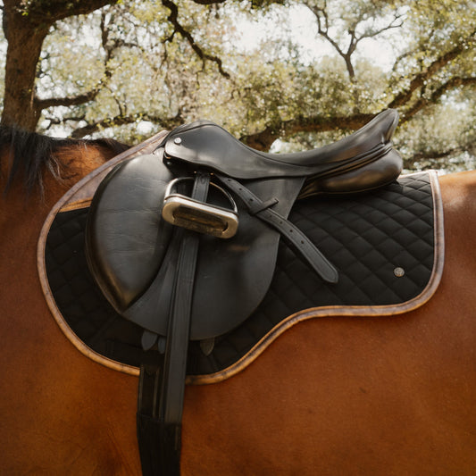 16 Cypress Close Contact - Black & Gold Leaf