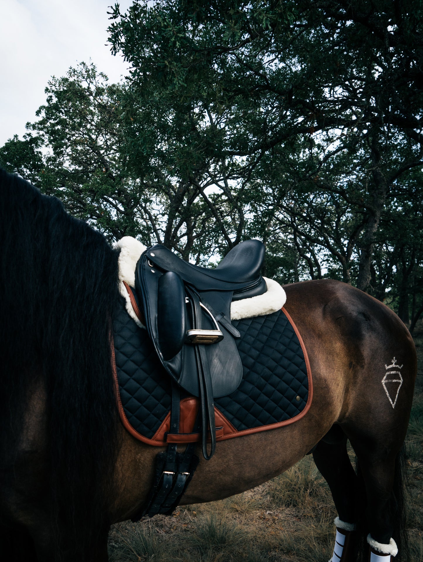 16 Cypress Dressage Pad - Navy & Hickory
