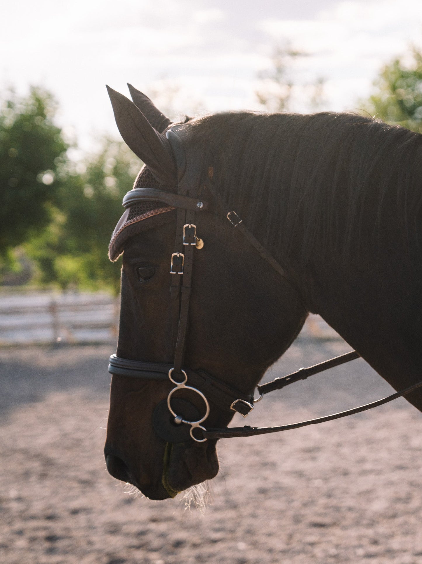 16 Cypress Ear Net - Tobacco
