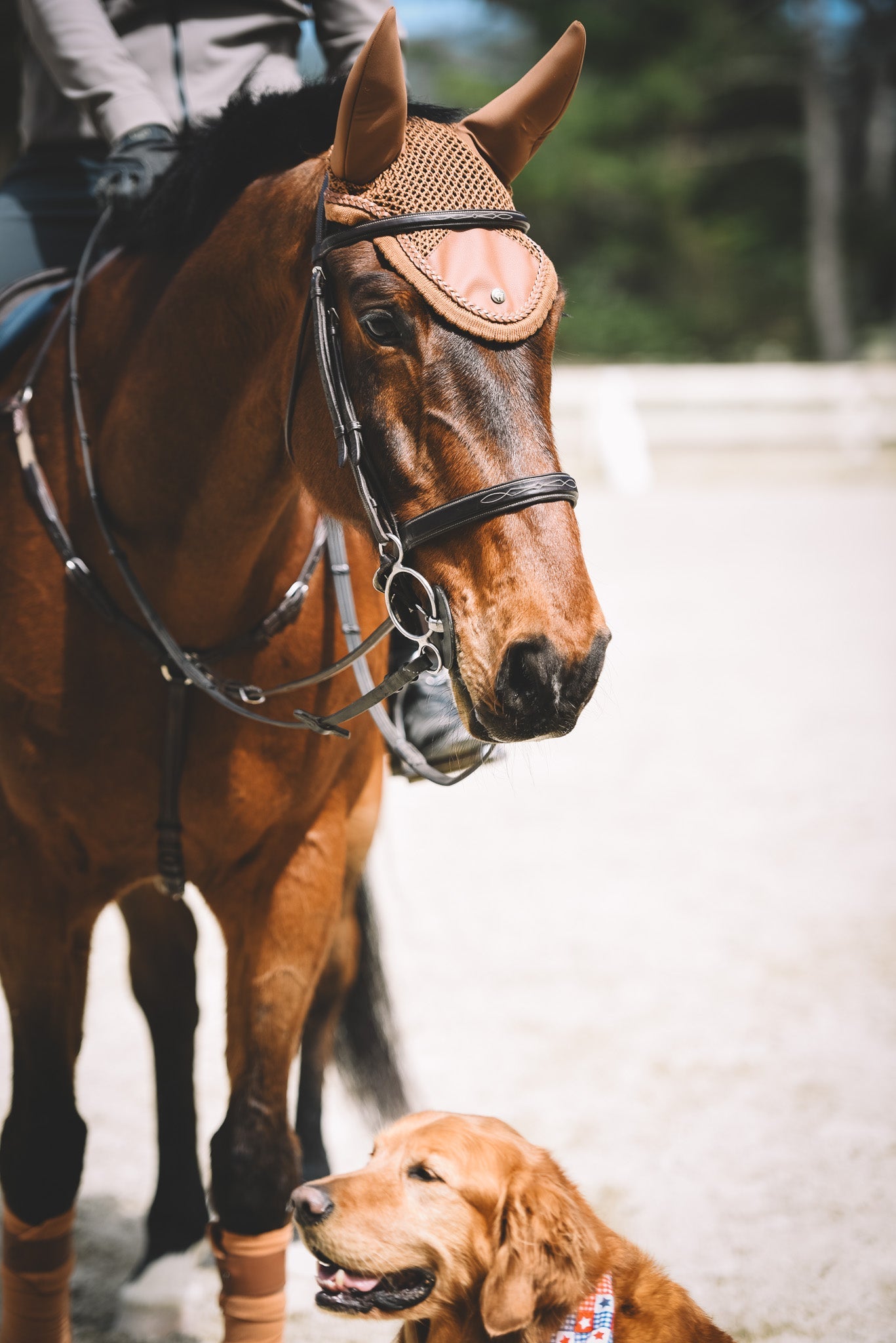 16 Cypress Sound Softening Ear Net - Camel