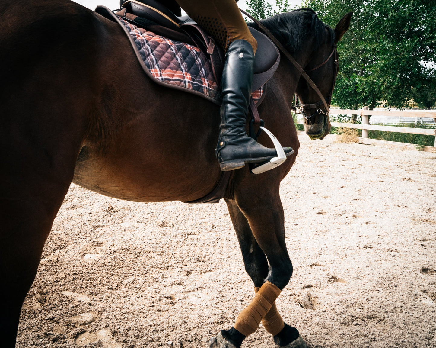 16 Cypress Jumper Pad - Field Plaid & Hickory