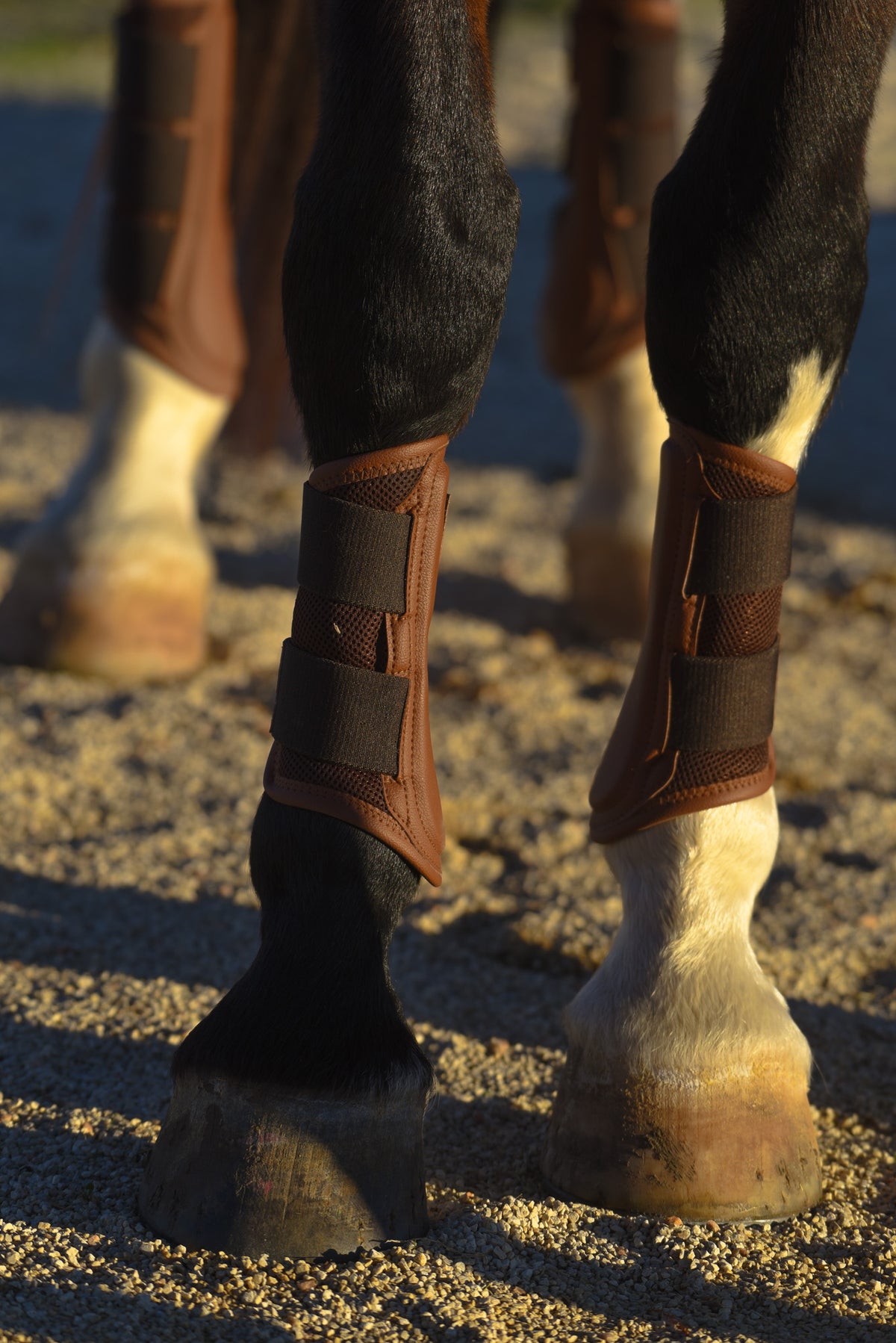 16 Cypress Leatherette Splint Boots - Navy