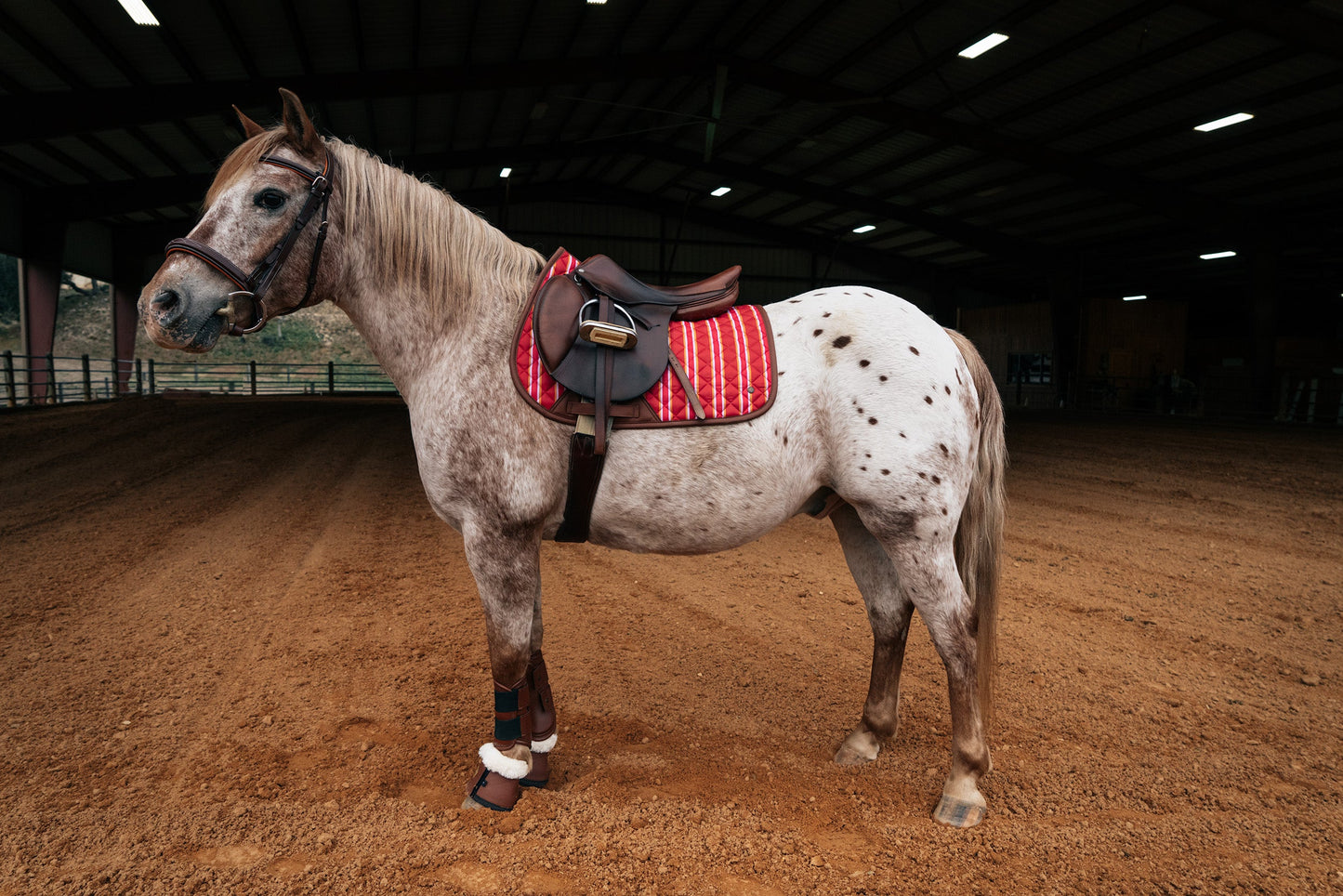 16 Cypress Pony Jumper Pad - Derby Stripe