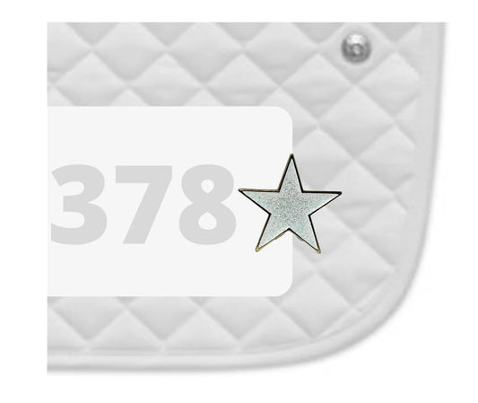 Dubois Cheval Number Pin Charm - Shining Star