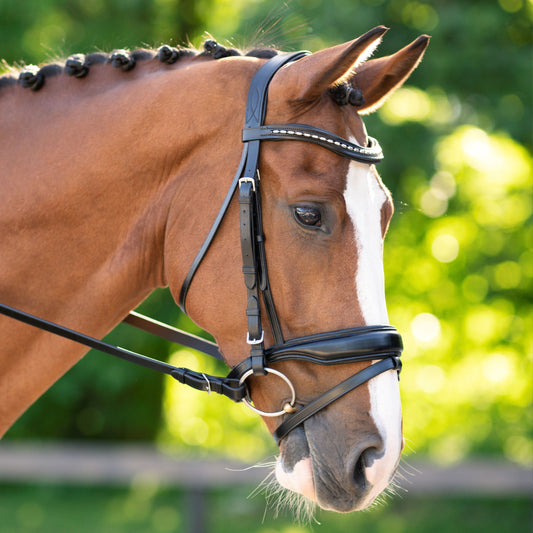 KL Select Topline Dressage Bridle with Reins