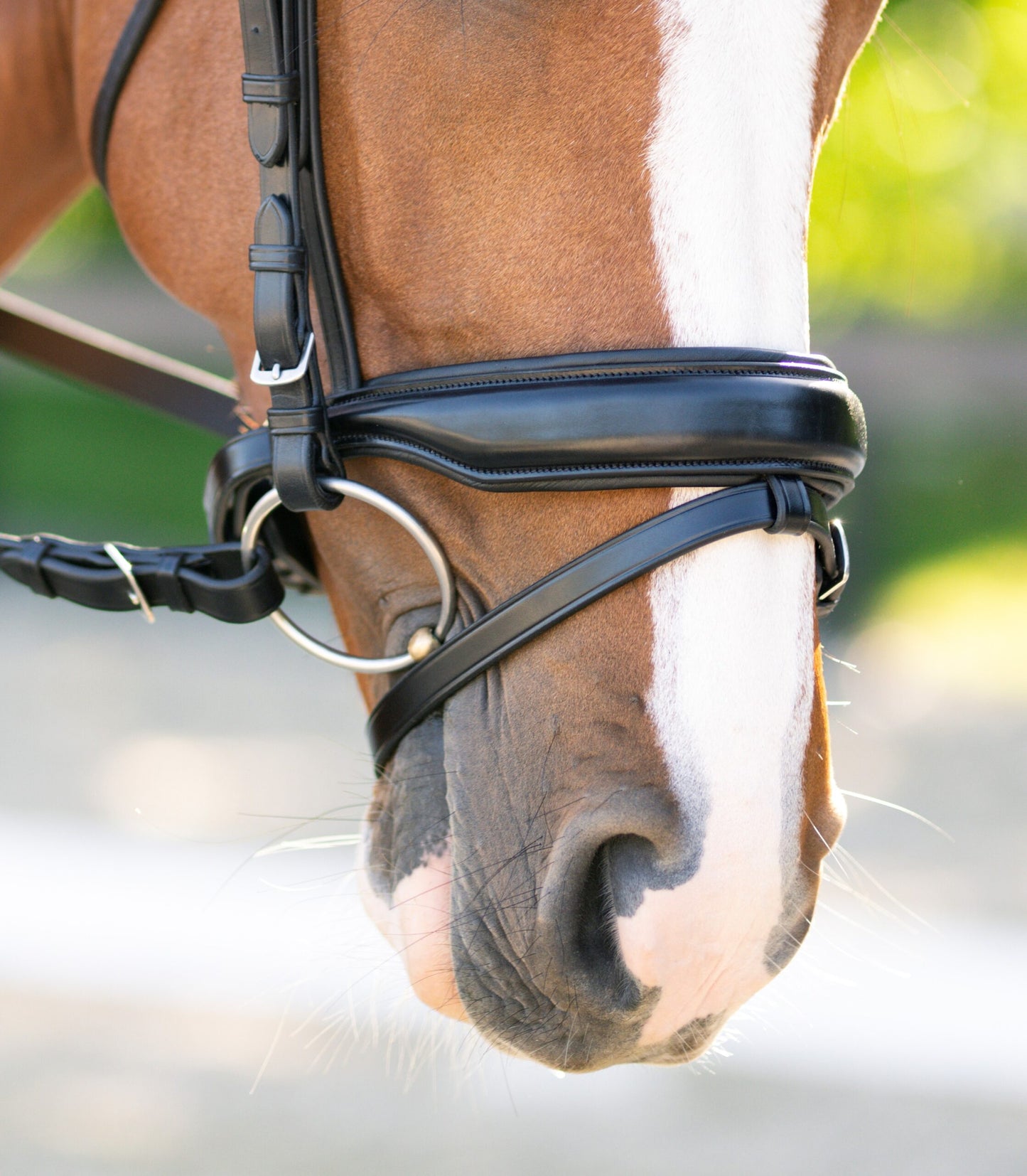KL Select Topline Dressage Bridle with Reins