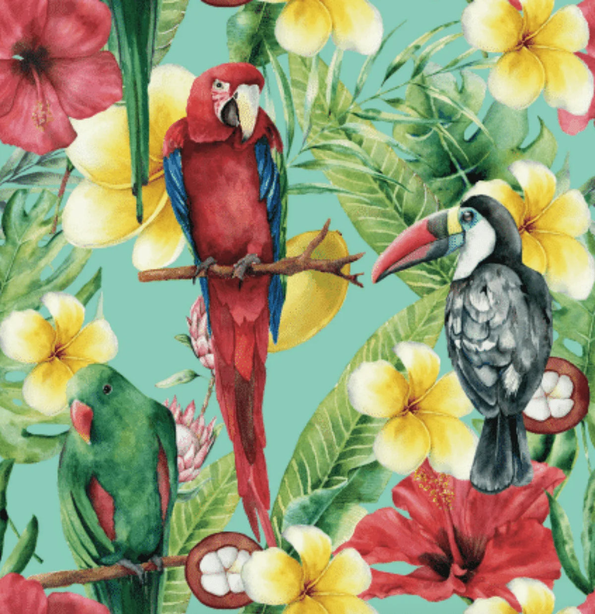 Dreamers & Schemers Pair & a Spare - Tropical Dreamin'