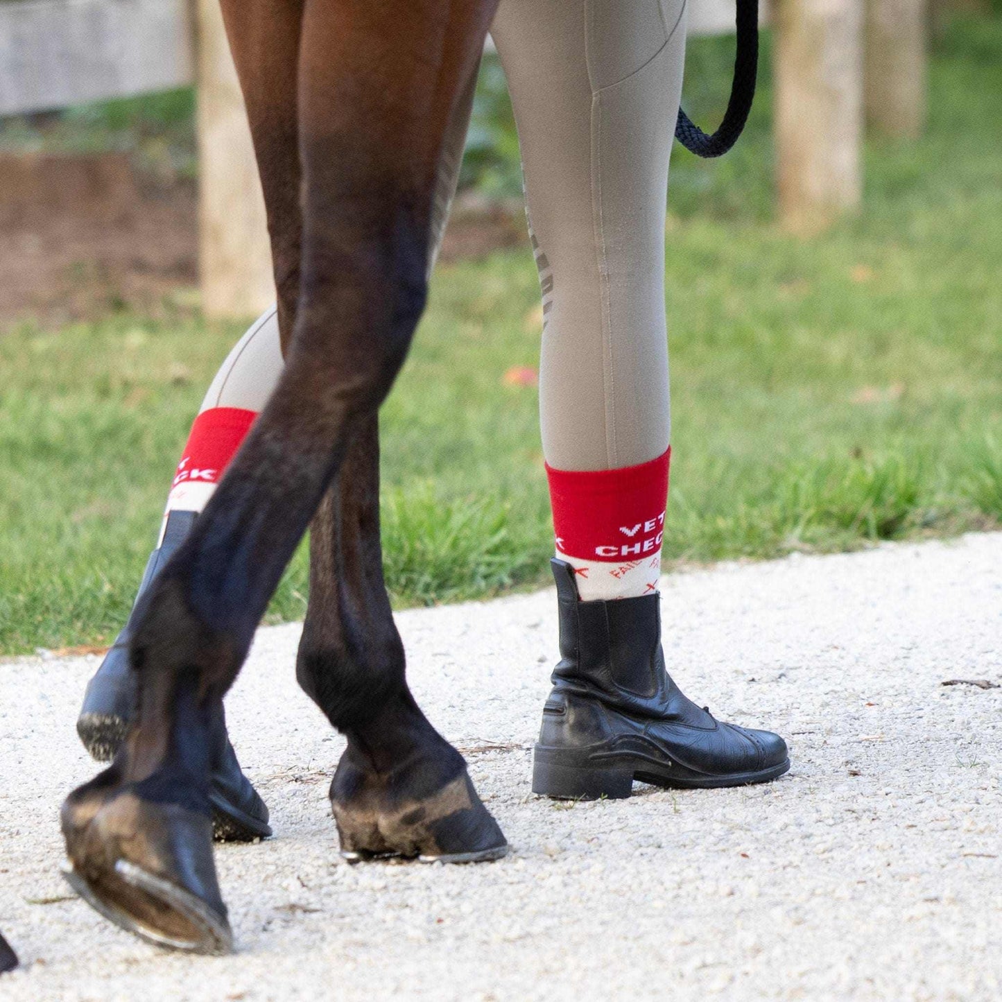 Dreamers & Schemers Crew Socks - Vet Check